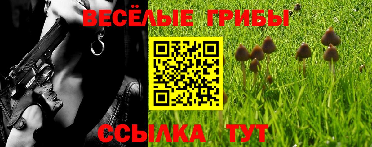 Галлюциногенные грибы Cubensis  наркошоп  Алейск  Вход с VPN  Галлюциногенные грибы Psilocybine cubensis 