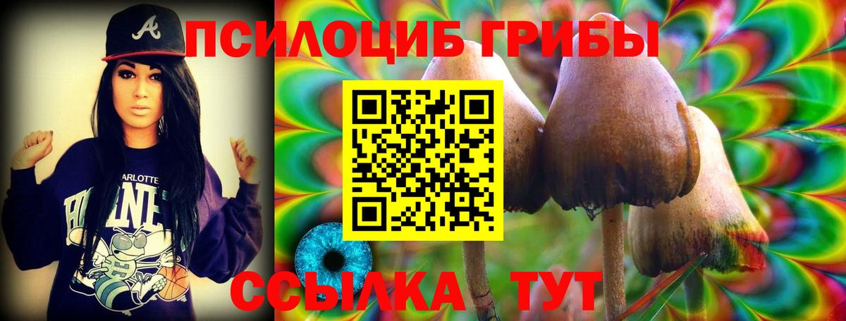 Галлюциногенные грибы Psilocybine cubensis Алейск